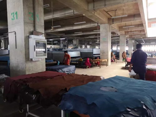 互聯(lián)網(wǎng)服務賦能皮革行業(yè) 從中國皮革展看未來發(fā)展